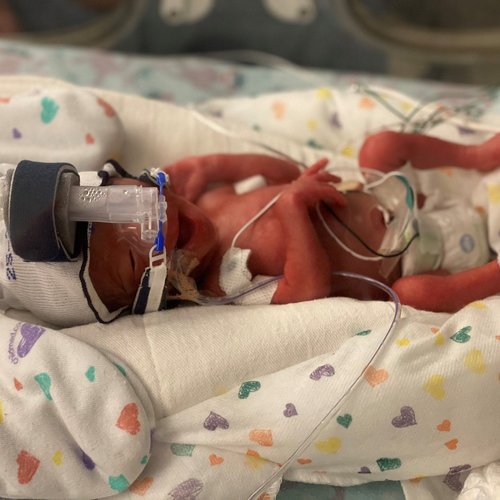 Prolacta North America Prolacta Bioscience