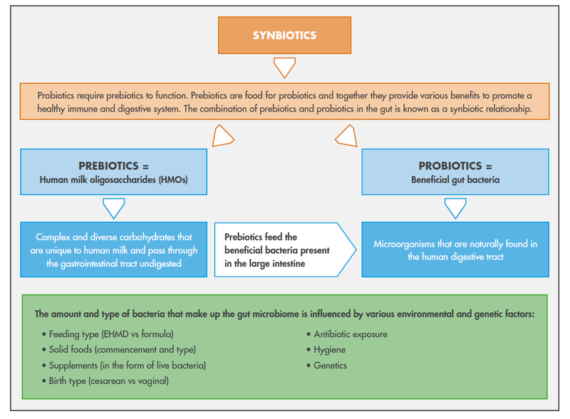 Synbiotic figure.PNG