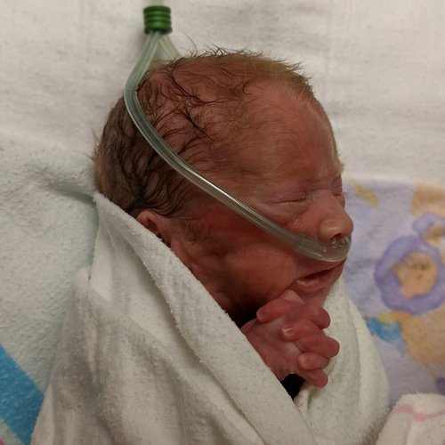 Prolacta North America Prolacta Bioscience