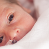 Nutrition and preterm infants